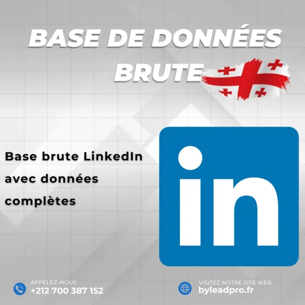 Base de données LinkedIn – Prospects BRUT Georgia