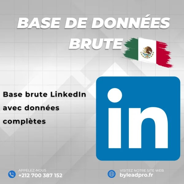 Base de données LinkedIn – Prospects BRUT Mexique