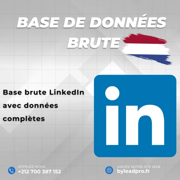 Base de données LinkedIn – Prospects BRUT Pays-Bas