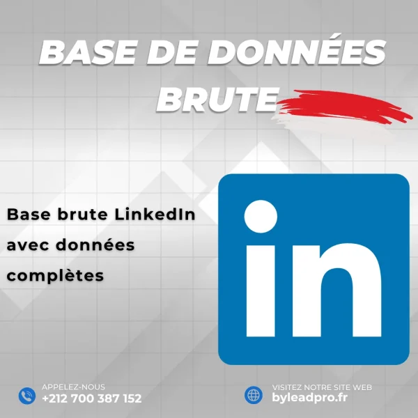 Base de données LinkedIn – Prospects BRUT Indonésie