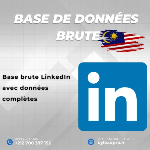 Base de données LinkedIn – Prospects BRUT Malaisie