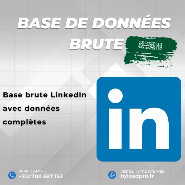 Base de données LinkedIn – Prospects BRUT Arabie Saoudite