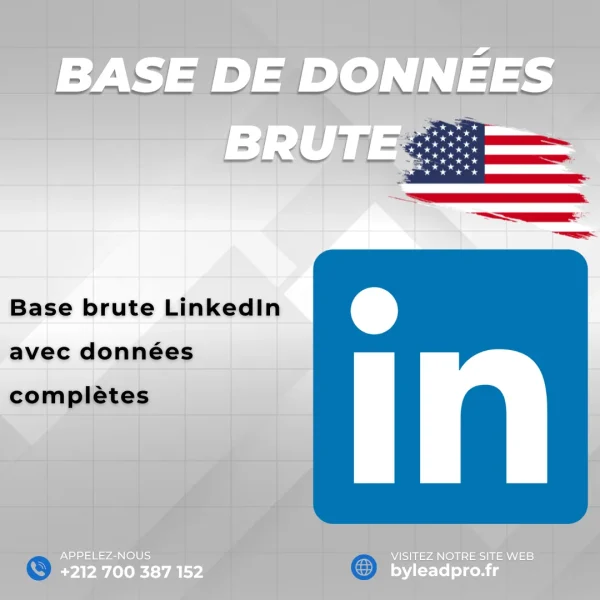 Base de données LinkedIn – Prospects BRUT États-Unis