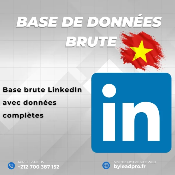 Base de données LinkedIn – Prospects BRUT Vietnam