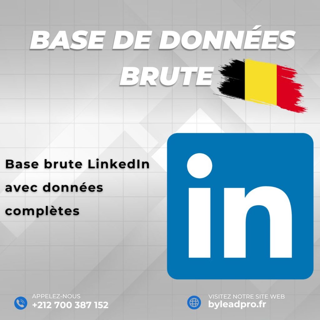Base de données LinkedIn – Prospects BRUT